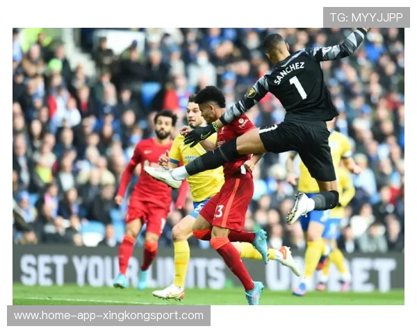 热刺加拉格尔远射改写比分